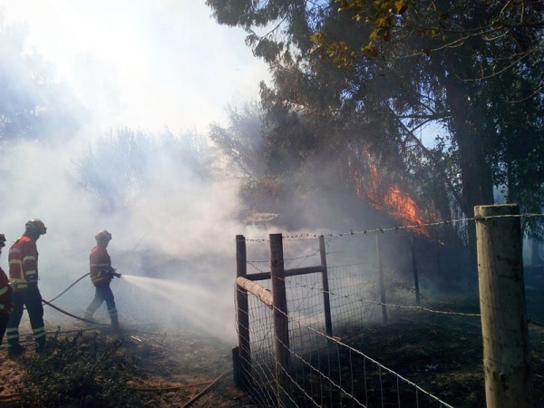 105164 38428291 60b0 4363 a539 a44b289fd6dc 31c670e5 6abb 4428 ac7f ae079a16ee10 incendio1 105164 38428291 60b0 4363 a539 a44b289fd6dc 31c670e5 6abb 4428 ac7f ae079a16ee10 incendio1