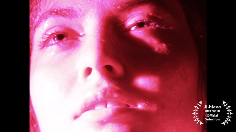 105372-89bb7db0-e4dc-4935-af69-0160526bb014-c113dd8c-40fb-4929-9ed9-7bb65b5570a6-pedro