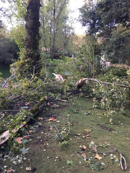 105387 e2e3a147 2b4d 451d 8424 5c2798954963 8b147cf1 60d5 4379 9972 cf61a43f60c5 parque 105387 e2e3a147 2b4d 451d 8424 5c2798954963 8b147cf1 60d5 4379 9972 cf61a43f60c5 parque