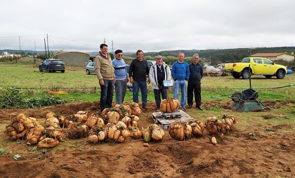 105611 fc59a8ec c7e0 4789 8a20 5d149e222292 e1936707 a79f 453e bb81 7776824a9110 batata