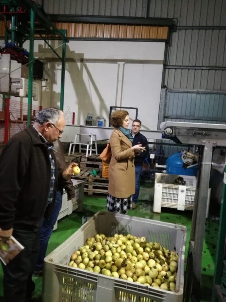 105732 36f4b397 933b 4441 b1fd c9ab86402c34 ed3d7fe4 0bea 44e6 9932 0b4c633d7296 painho