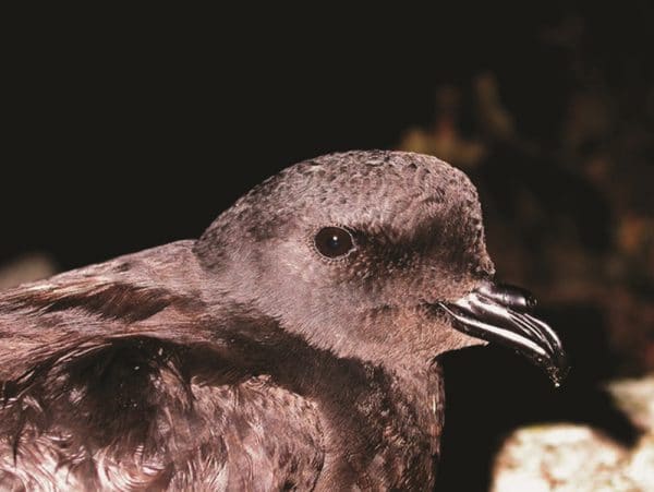 105751 5211a345 d263 49b5 a006 99862fbeb0d8 3c6743f5 ff78 4f30 acbd 08df40a9ca87 ave