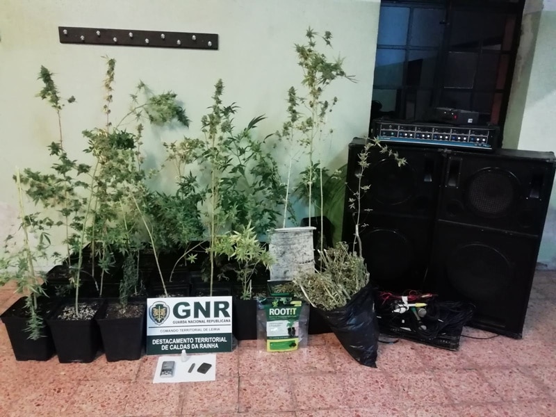 105759-19395546-6afb-4d49-b9d4-52438506c79b-9ccc1783-c762-4617-b65e-3e85622e2614-cela