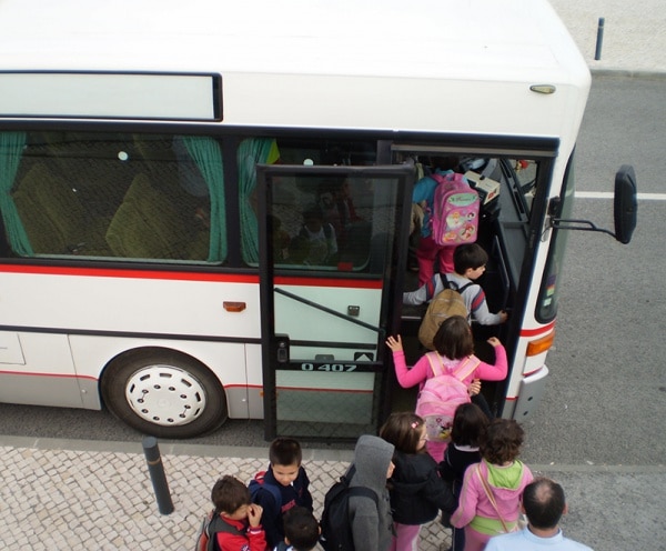 105837 0522e15d ca1c 413f b5cd ca3979cc4fe0 205241a0 3c0b 4b53 8897 f14958bafd50 rodoviria