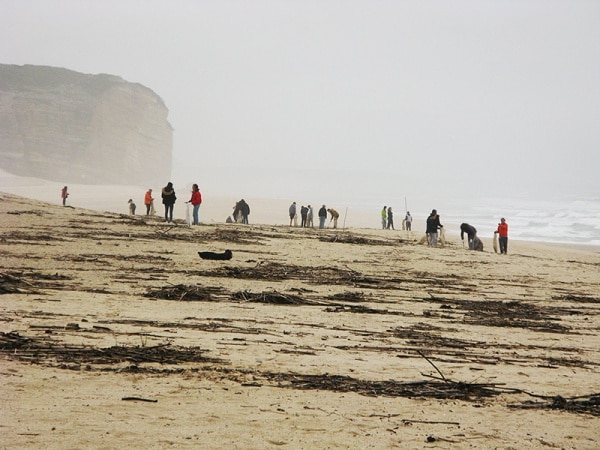 105873 88150028 3482 4c22 9cd5 162cb5b7a682 4a7df211 f434 4a26 b681 17c944e52c69 limpeza 105873 88150028 3482 4c22 9cd5 162cb5b7a682 4a7df211 f434 4a26 b681 17c944e52c69 limpeza