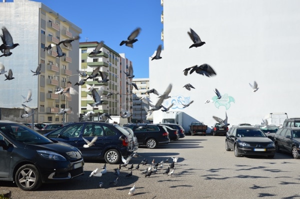 105876 8f684846 5568 447b bbee a6ef89aac15e e4bc5cbd 42d2 44ba aa9a 1aca0e2b9d8b pombos1 105876 8f684846 5568 447b bbee a6ef89aac15e e4bc5cbd 42d2 44ba aa9a 1aca0e2b9d8b pombos1