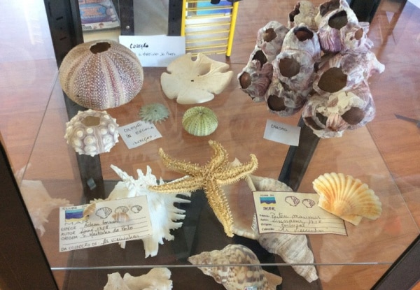 105892 ebd8eaa0 2e64 4e1d ae89 00cd03173a3e 7937a350 e234 4b6b 8bef 0905b41044d5 mar