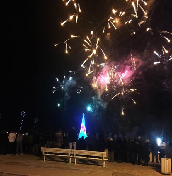 105978 00c38188 8385 4c52 8ef5 f4bc82cc6f62 3dea8c9c ba20 4c8f b9be c38e6edf362e rvore