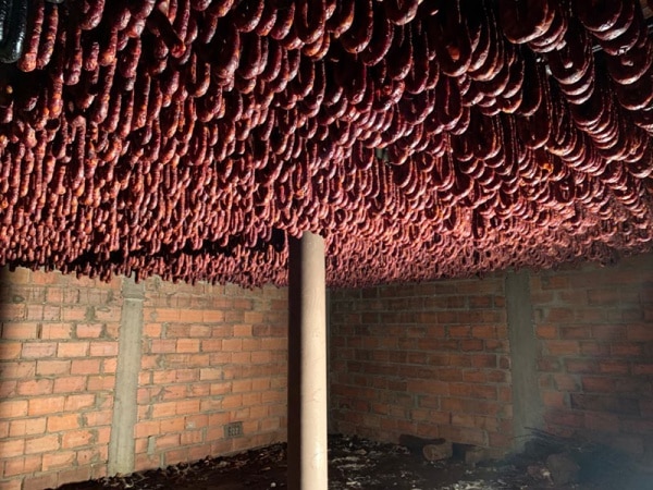 110118 santo1 110118 santo1