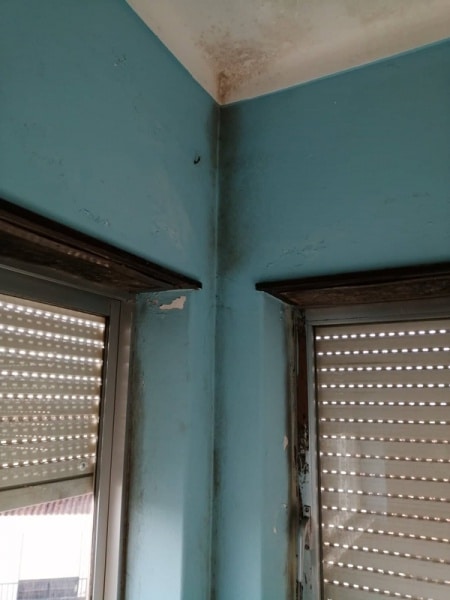 110159 bolor 110159 bolor