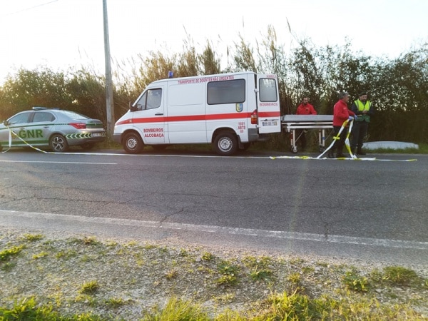 110195 cadaver 110195 cadaver