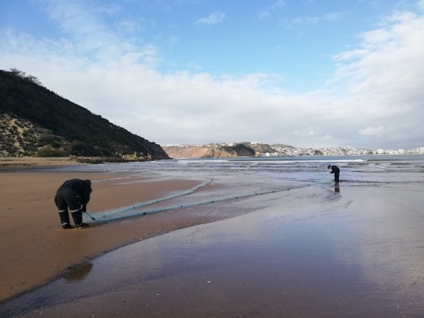 110775 redes 110775 redes