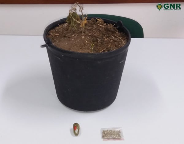 111204 estupefaciente