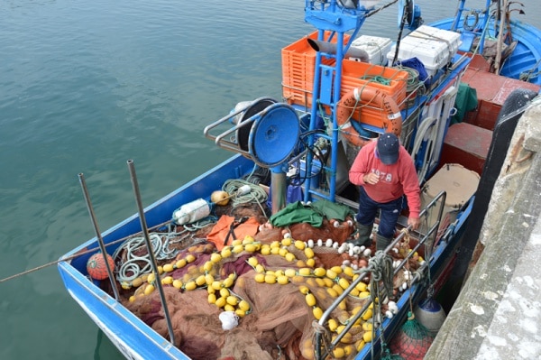 111221 pescas 111221 pescas
