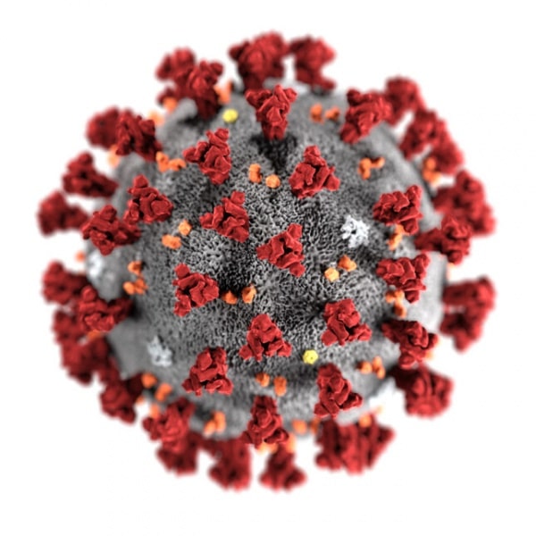 111682 coronavirus cdc 645x645 1