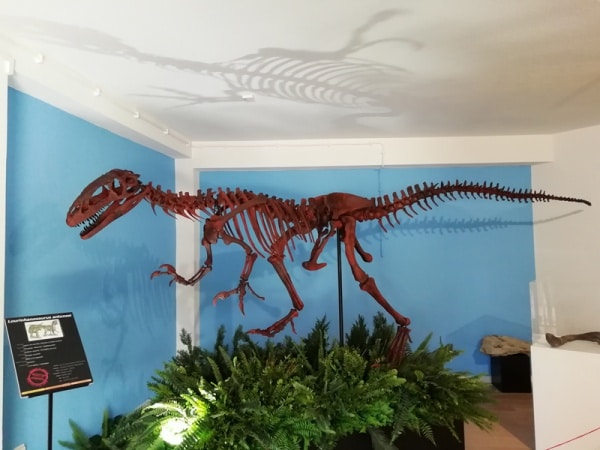 111706 dino 111706 dino