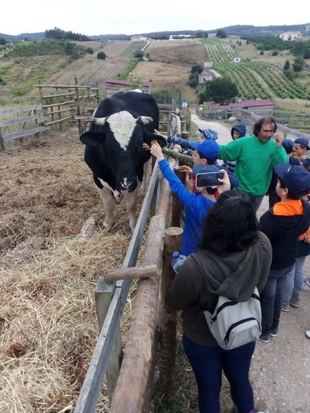 111725 multiatividades 111725 multiatividades