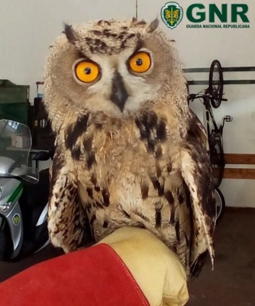 111732 aves1 111732 aves1