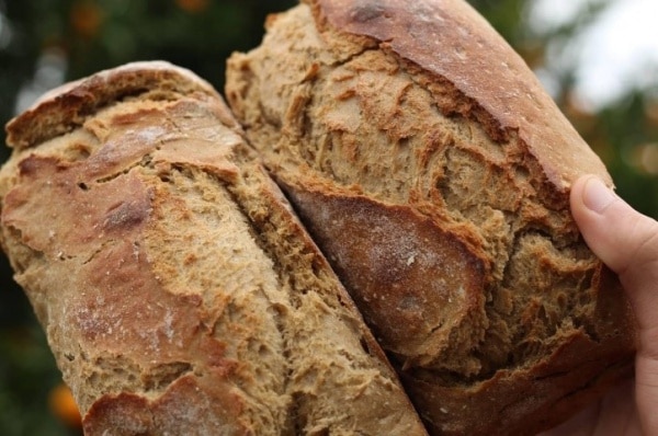 111828 pao 1 111828 pao 1