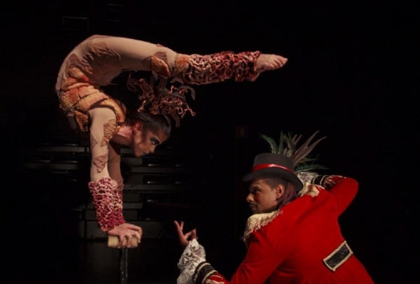 111915 chapito 111915 chapito