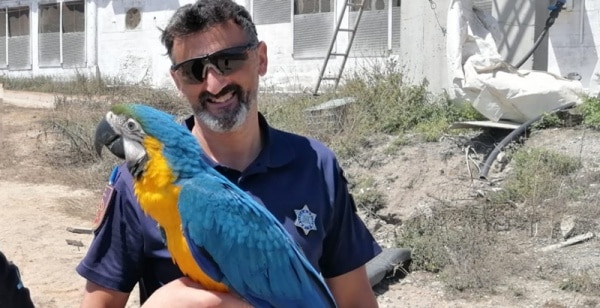 111916 exotica 111916 exotica