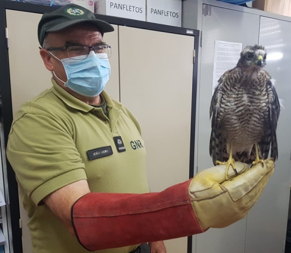 111920 crasm1 111920 crasm1