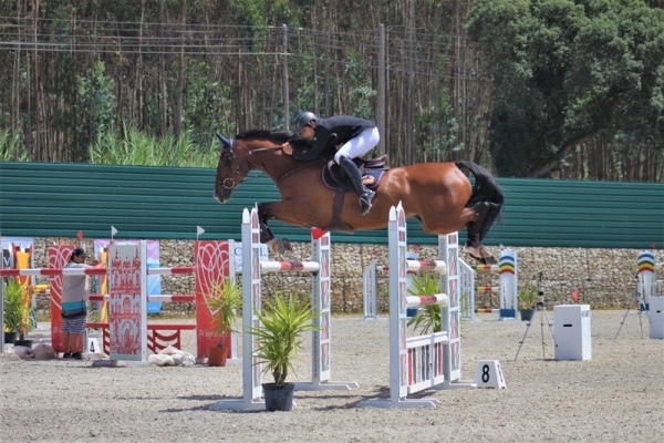 111944 hugo 111944 hugo