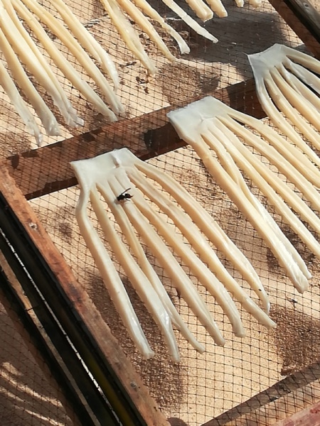 112151 vespa 112151 vespa