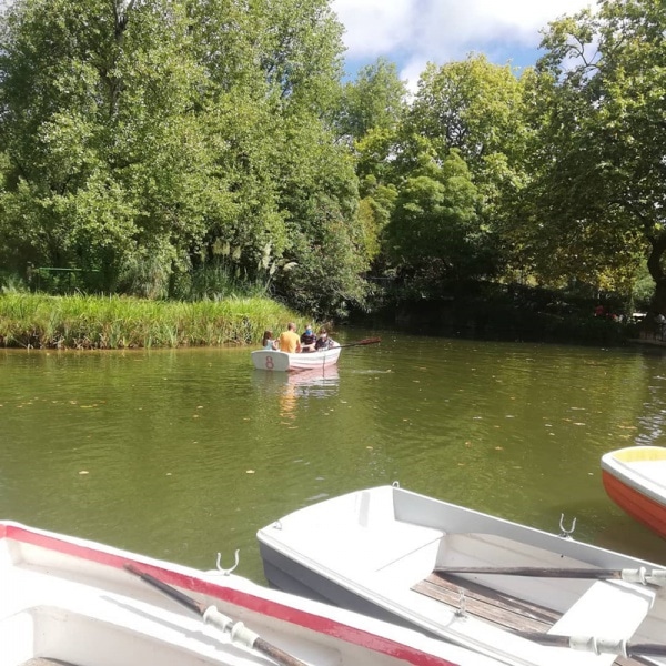 112231 barco 1 112231 barco 1