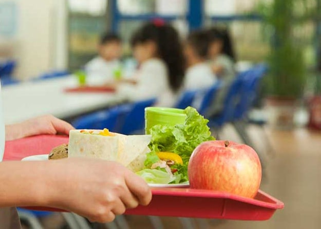 112377-school-girl-holding-lunch-tray