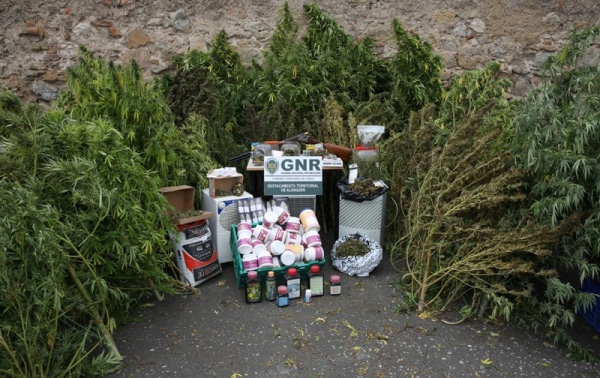 112446 apanhado 112446 apanhado