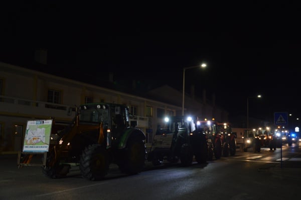 112448 ferrel1 112448 ferrel1