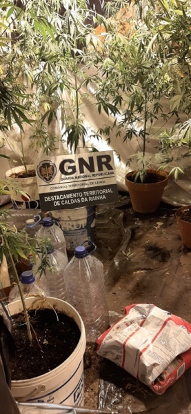 112480 droga 112480 droga