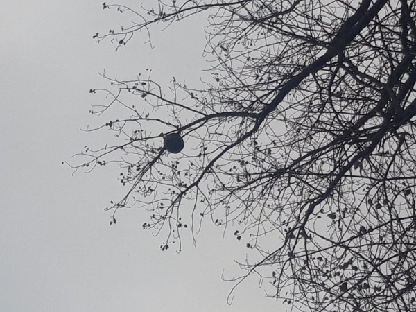 112529 vespa1 112529 vespa1