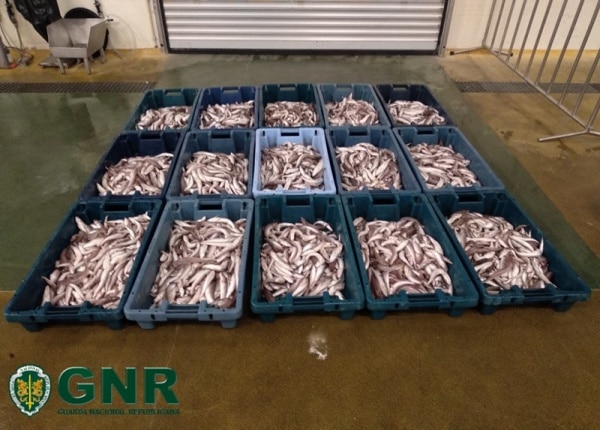 112579 gnr 112579 gnr