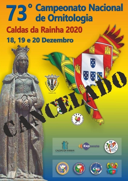 112692 12223901235431298824154844152886238629579870o