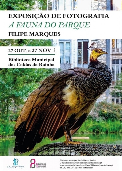 112693 122257893102152048964344792356539347322828607n