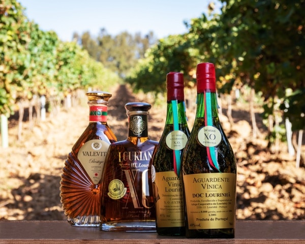 112826 aguardente 112826 aguardente