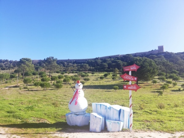 113044 caminhadas 113044 caminhadas