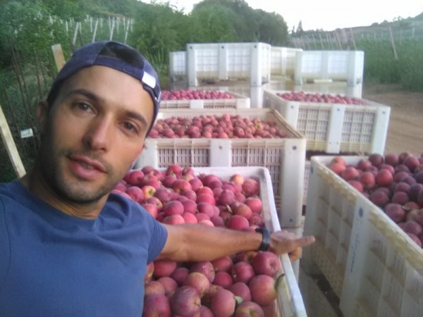 113119 cristovao 1 113119 cristovao 1