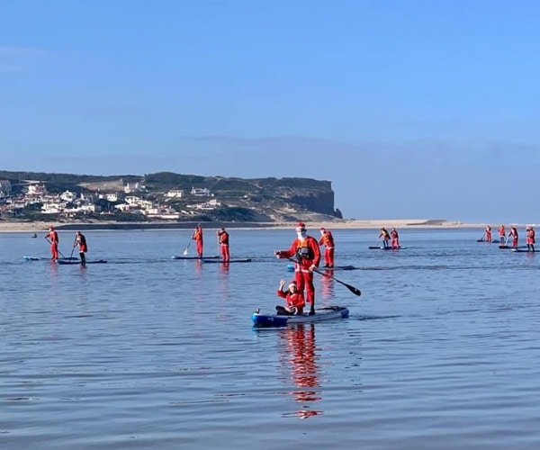 113204 pais natal 113204 pais natal