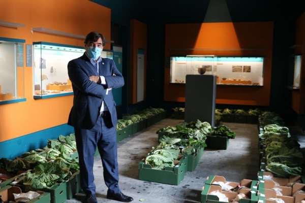 113218 cabazes 113218 cabazes