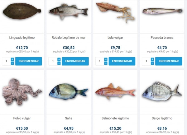 113446 peixe 113446 peixe