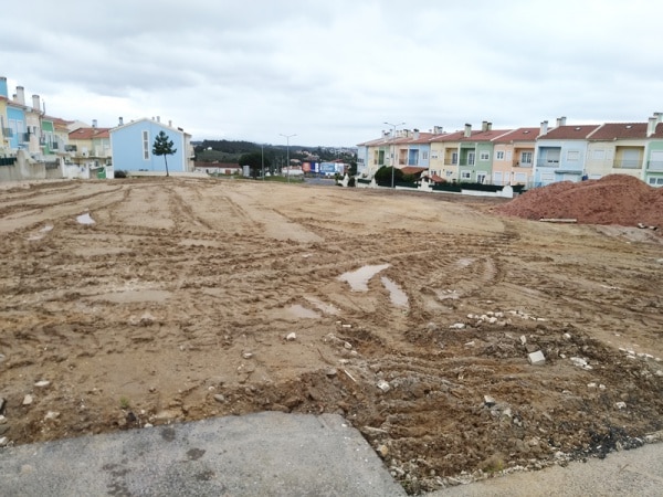 113519 verde 113519 verde