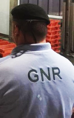 113727 361998834071799130953933236768284334358528n