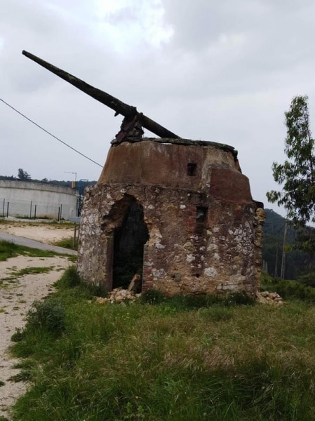 113798 moinhos 113798 moinhos