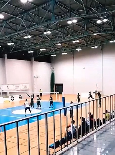 113808 voleibol