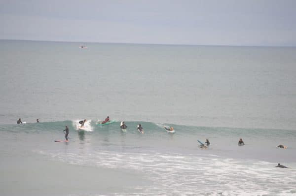 113814 surf 113814 surf