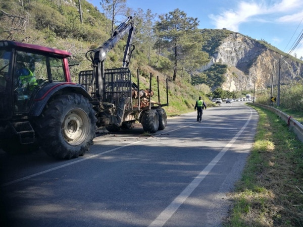 113831 pinheiro 113831 pinheiro