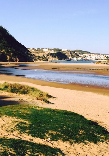 113851 salir 113851 salir